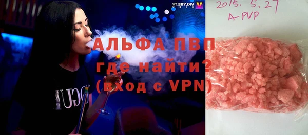 индика Алексин