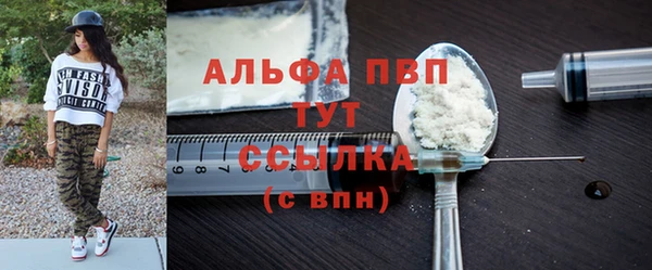 индика Алексин