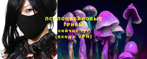 МДПВ Абаза