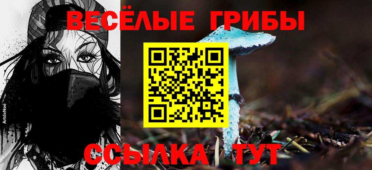 НБОМе Северодвинск